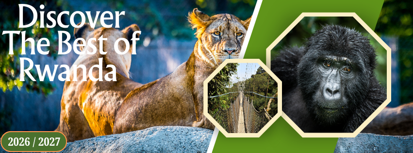 Explore Rwanda Tours